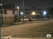 No Boys No Boys Scene 2 - Sandra Shine Lesbian